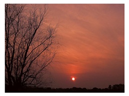 夕阳