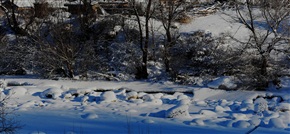 我的照片766漠河雪景