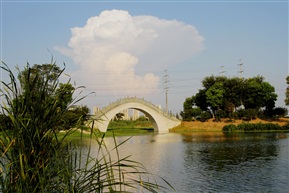 夏驾河小景