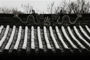 双龙喜雪