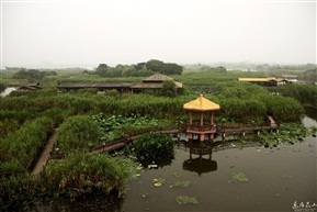 下渚湖湿地风景