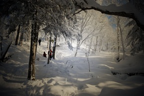 我的照片764漠河雪景