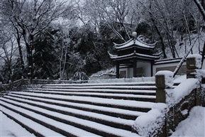 《 雪之亭林 》3
