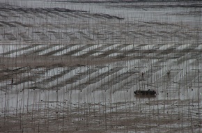 霞浦沙滩