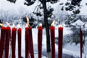 《 雪之亭林 》12