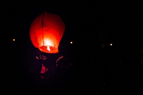 人间又寄新年愿之二