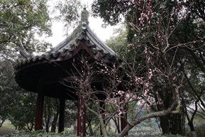 亭林一景