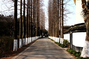 风景这边独好