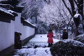 瑞雪迎春