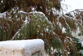 雪景二