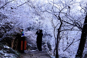 亭林雪景