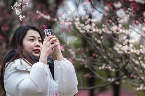 梅林留香