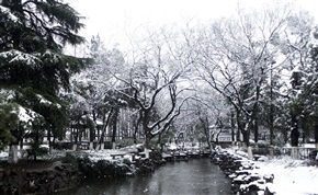 《 雪之亭林 》7