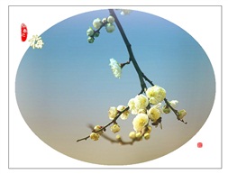 梅花图