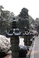 亭林瑞雪