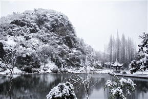  《 雪之亭林 》6
