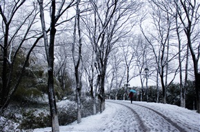 《 雪之亭林 》10
