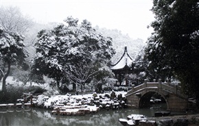 《 雪之亭林 》9