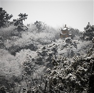 瑞雪兆丰年