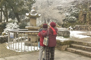 赏雪