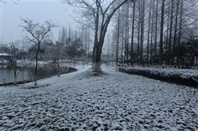 雪
