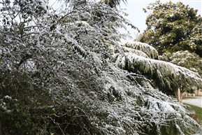 雪景一