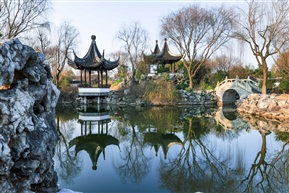 顾园