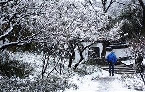 《 雪之亭林 》11