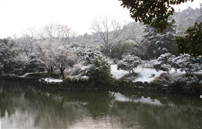 瑞雪迎春