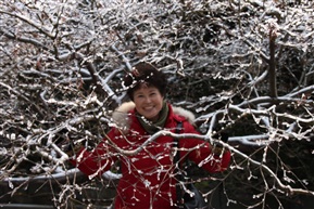 雪中美人