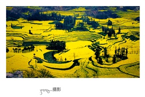 《金龙盘卧》