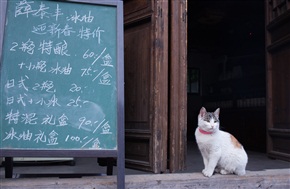《 迎客 》