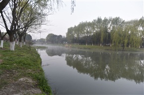 晨