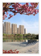《春之城》