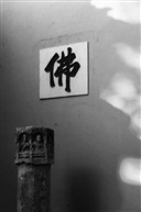 《 重拾信仰 》