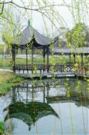 亭林之春