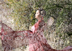 樱花秀
