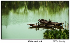 野渡无人舟自横