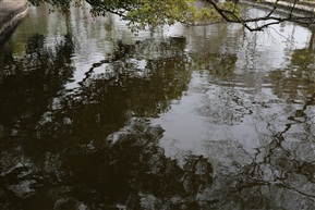 南湖水中景