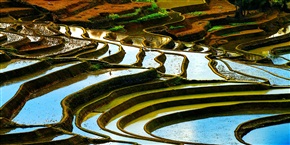  田间地头 