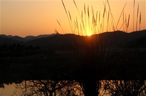 夕阳