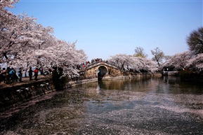 花飞花落花满池