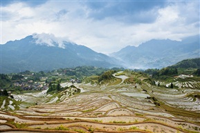 梯田