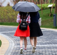 雨中情意深