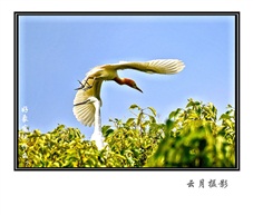 好象发现什么?