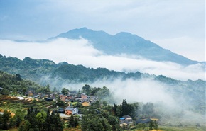 云雾山村