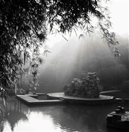 亭林一景