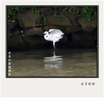 亦耒个金鸡独立