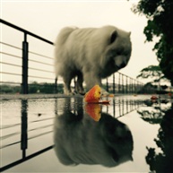 雨后3