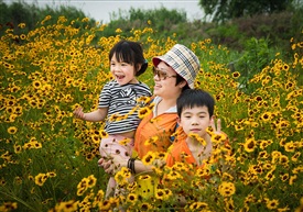 花丛中